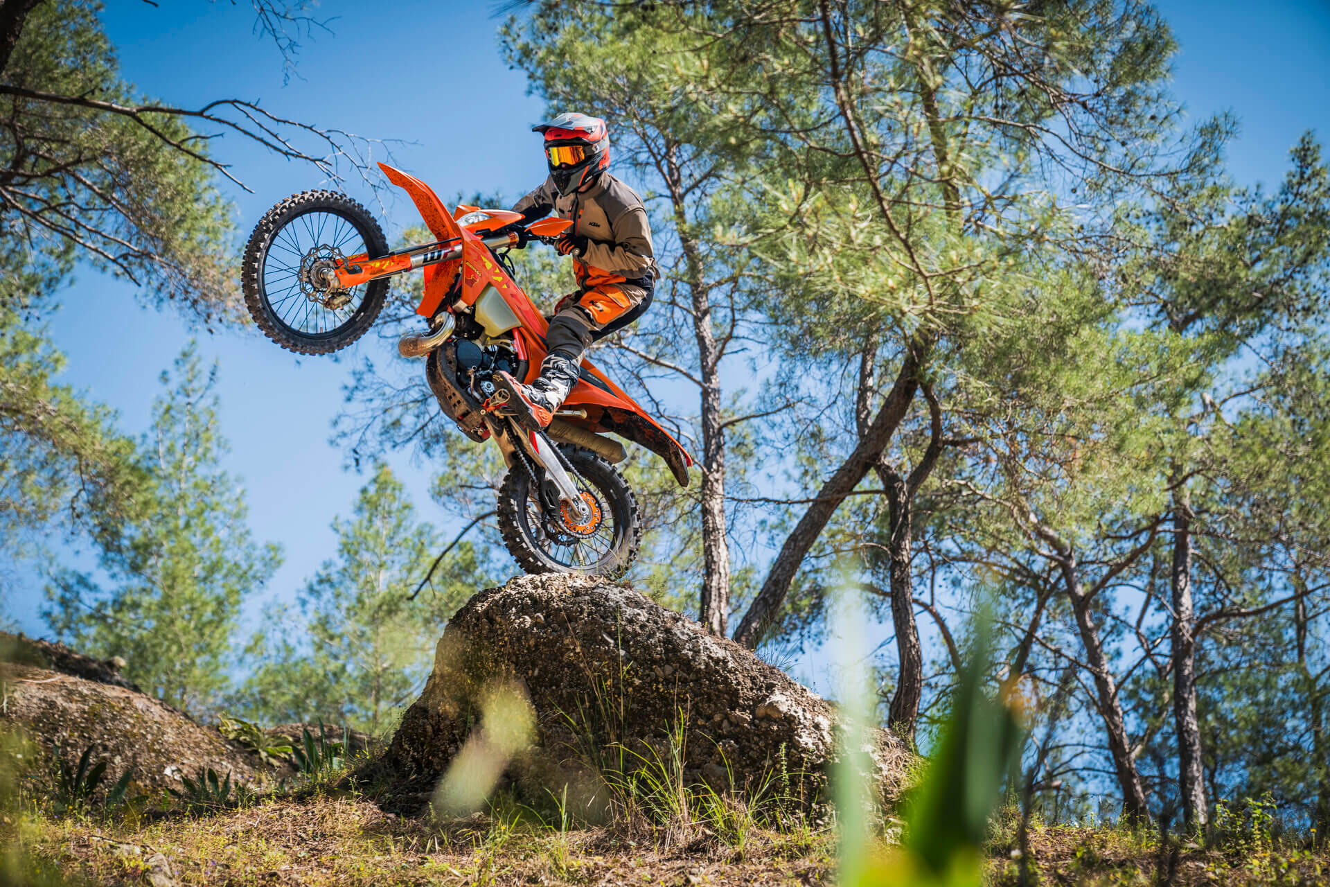 ktm 50 sx factory edition